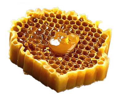 beeswax